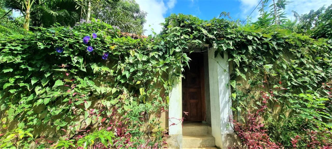 Sand Dollar House, Hiriketiya Zuid-Dikwella Buitenkant foto