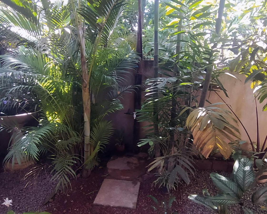 Sand Dollar House, Hiriketiya Zuid-Dikwella Buitenkant foto